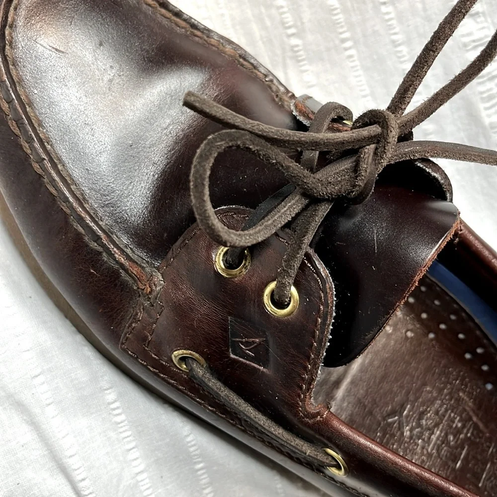 Sperry believe conditioning